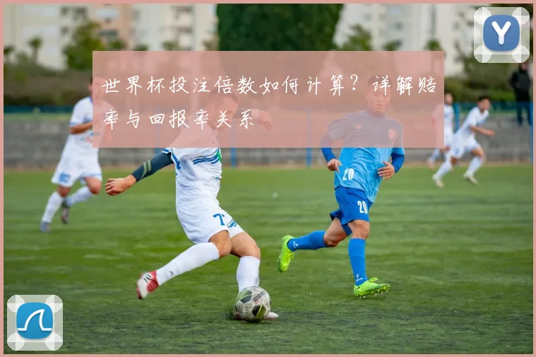 世界杯投注倍数如何计算？详解赔率与回报率关系