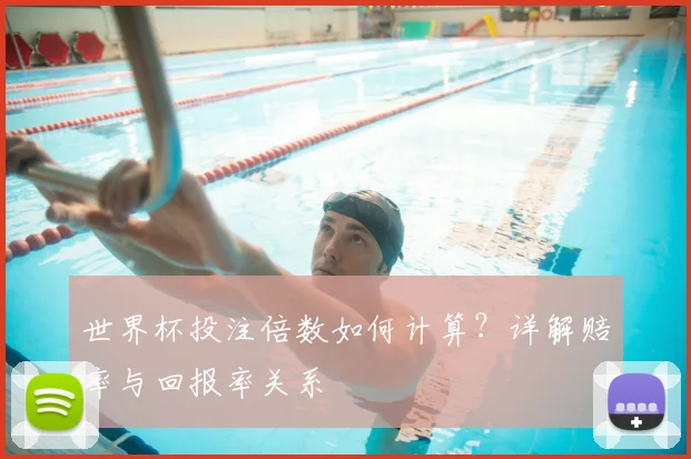 世界杯投注倍数如何计算？详解赔率与回报率关系