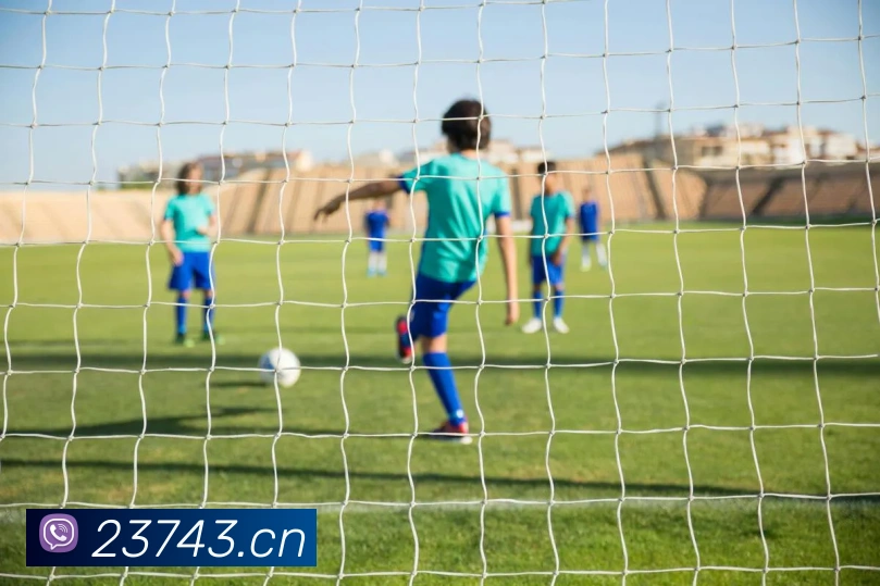 问鼎pg2.8网页版入口平台生态图