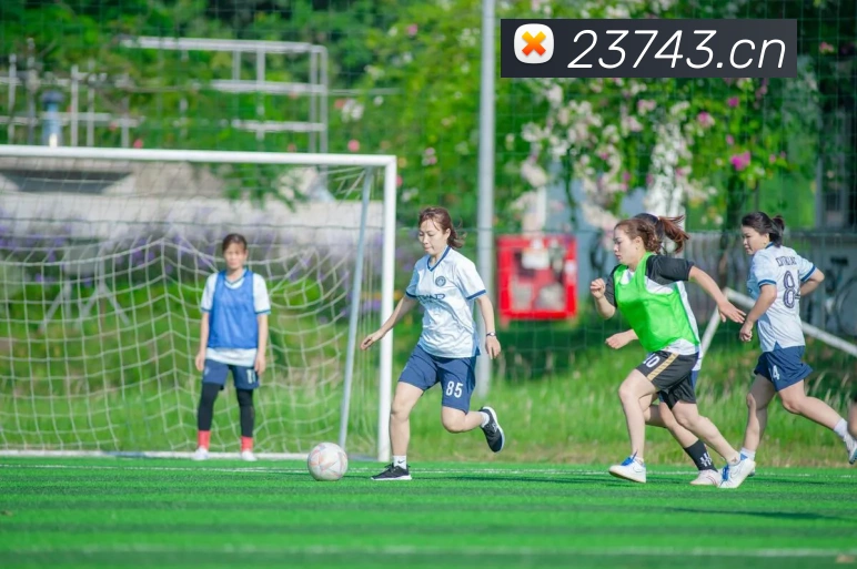 辅助工具 辅助工具